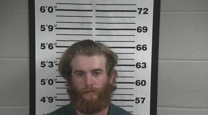 Cullman man arrested for sex abuse