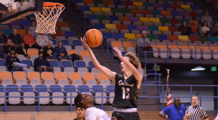 PREP BASKETBALL: Bearcats down Demopolis 54-33; improve to 12-0