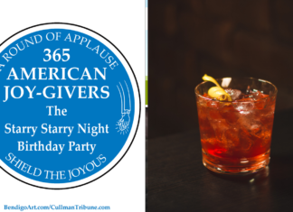 365 AMERICAN JOY-GIVERS for 2021: The Starry Starry Night Birthday Party