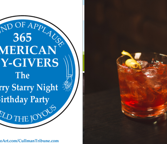 365 AMERICAN JOY-GIVERS for 2021: The Starry Starry Night Birthday Party