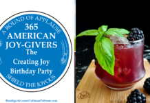 365 AMERICAN JOY-GIVERS for 2021: The Creating Joy Birthday Party