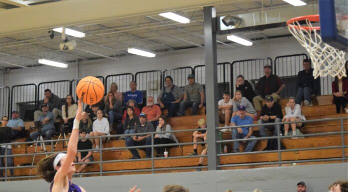 PREP BASKETBALL: Aggies, Lady Aggies earn county wins at Cold Springs