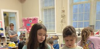 It’s a bird, it’s a plane… it’s a paper airplane