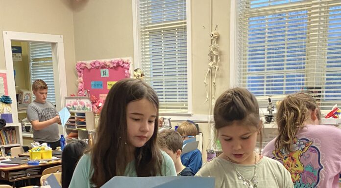 It’s a bird, it’s a plane… it’s a paper airplane