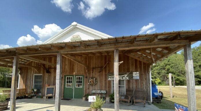 Farm Kids Club learning all about baking bread for January event
