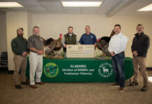 National Wild Turkey Federation donates $122,000 for wildlife management