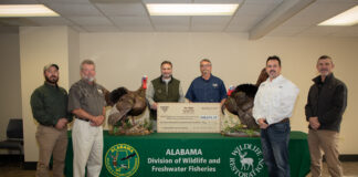 National Wild Turkey Federation donates $122,000 for wildlife management