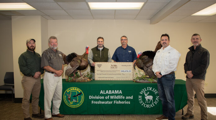 National Wild Turkey Federation donates $122,000 for wildlife management