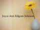 Obituary: Joyce Ann Kilgore Johnson