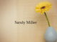 Obituary: Sandy Miller