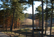 Terri Pines Country Club hosting ‘Flourishing the Night Together’ fundraising event in February