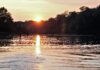 Get to know Alabama Extension: Fish and Water