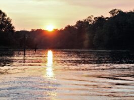 Get to know Alabama Extension: Fish and Water