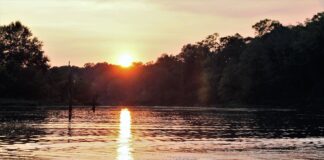 Get to know Alabama Extension: Fish and Water