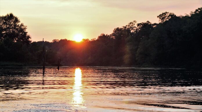 Get to know Alabama Extension: Fish and Water