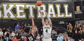 PREP BASKETBALL: Cullman bounces back with area wins over Decatur