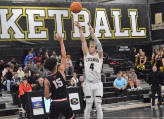 PREP BASKETBALL: Cullman bounces back with area wins over Decatur