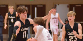 PREP BASKETBALL: Bearcats, Lady Bearcats fall in area matchups at Hartselle