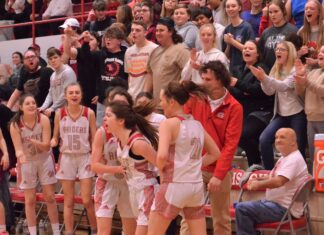 PREP BASKETBALL: No. 2 Good Hope bests No. 6 Priceville 58-41, Raiders topple ninth-ranked Bulldogs 46-39