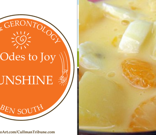 52 ODES TO JOY: SUNSHINE