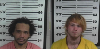 Multiple drug arrests by CCSO in Cullman County this week
