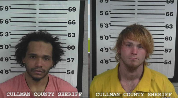 Multiple drug arrests by CCSO in Cullman County this week
