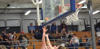 PREP BASKETBALL: Cold Springs sweeps area matchups with Falkville
