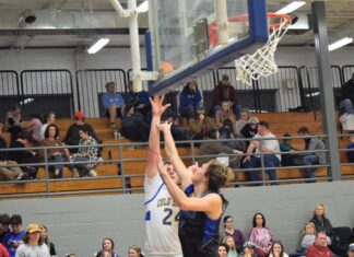 PREP BASKETBALL: Cold Springs sweeps area matchups with Falkville