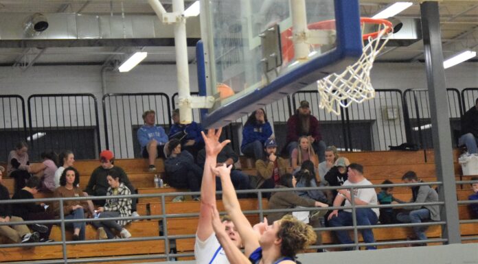 PREP BASKETBALL: Cold Springs sweeps area matchups with Falkville