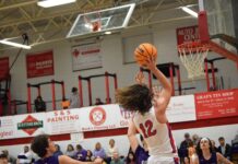 PREP BASKETBALL: Vinemont splits county matchups against Fairview
