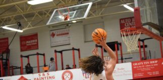 PREP BASKETBALL: Vinemont splits county matchups against Fairview