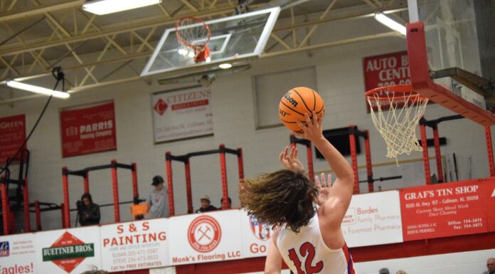 PREP BASKETBALL: Vinemont splits county matchups against Fairview