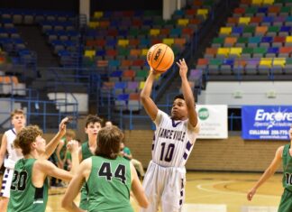 COUNTY TOURNAMENT: Bulldogs advance with 61-45 win over Holly Pond