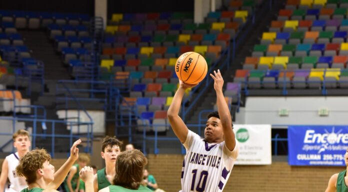 COUNTY TOURNAMENT: Bulldogs advance with 61-45 win over Holly Pond