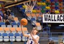 COUNTY TOURNAMENT: Cold Springs downs Vinemont 55-38, advances to semifinals