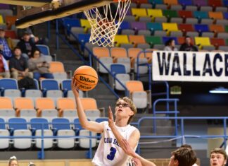 COUNTY TOURNAMENT: Cold Springs downs Vinemont 55-38, advances to semifinals