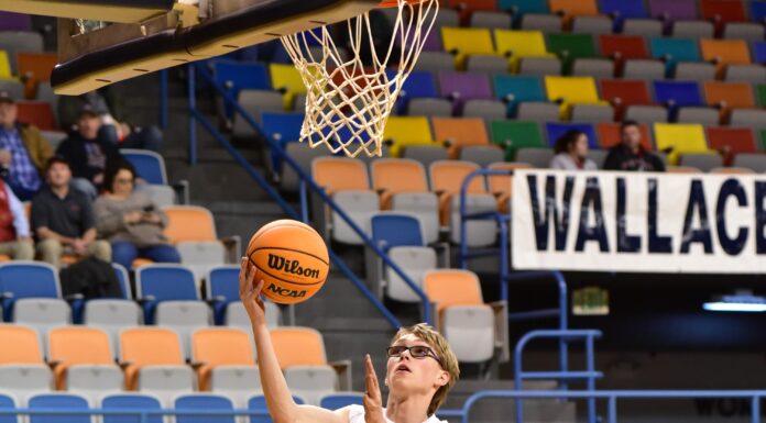 COUNTY TOURNAMENT: Cold Springs downs Vinemont 55-38, advances to semifinals