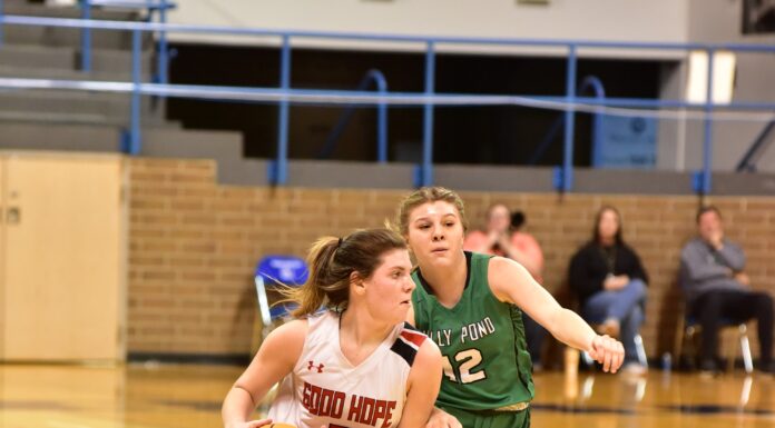 COUNTY TOURNAMENT: Lady Raiders edge Holly Pond 27-26 in OT to advance to JV Girls finals