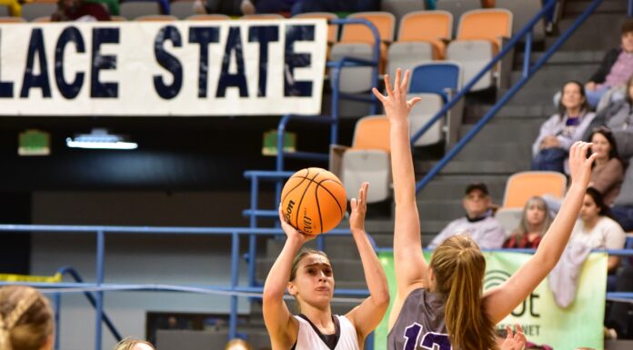 COUNTY TOURNAMENT: West Point pulls away from Fairview 58-23 to advance to County Championship Game
