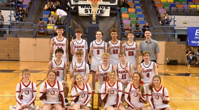 COUNTY TOURNAMENT: Raiders pull away to top West Point 53-41 & win JV Boys Championship