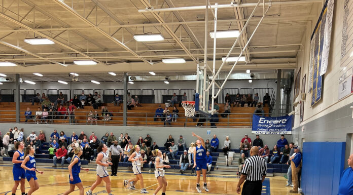 PREP BASKETBALL: Addison Bulldogs, Lady Bulldogs earn wins at Cold Springs