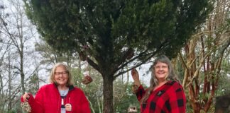 Cullman County Master Gardeners share 2022 initiative for feeding birds during the winter