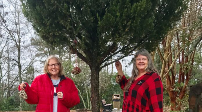 Cullman County Master Gardeners share 2022 initiative for feeding birds during the winter