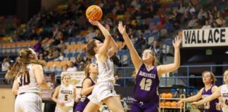COUNTY TOURNAMENT: Fairview pulls away to top Hanceville 46-28 & advance to semifinals