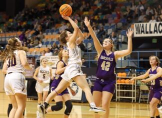 COUNTY TOURNAMENT: Fairview pulls away to top Hanceville 46-28 & advance to semifinals