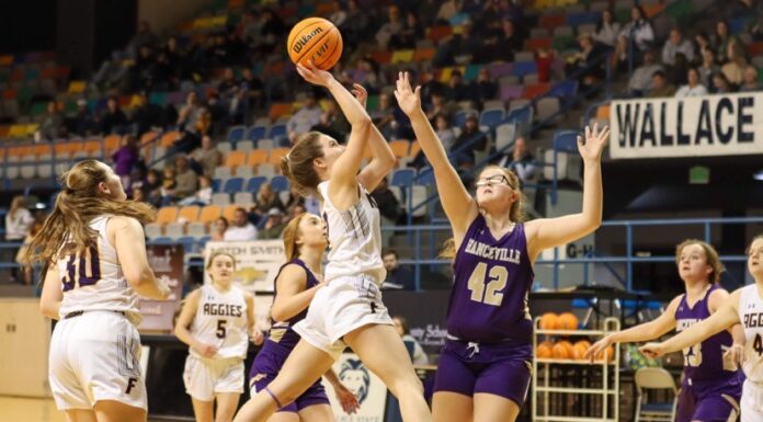 COUNTY TOURNAMENT: Fairview pulls away to top Hanceville 46-28 & advance to semifinals