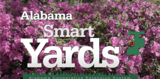 Simply Southern television show brings Extension expertise to wider audiences