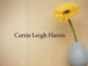 Obituary: Carrie Leigh Harris