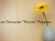 Obituary: Lee Dewayne “Wayne” Peppers
