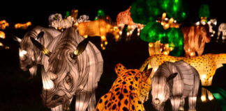 Start off the new year this January with a visit to ‘Glow Wild: An Animal Lantern Celebration’